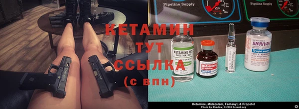 молекула духа Арсеньев