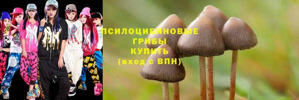 молекула духа Арсеньев