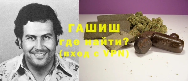 молекула духа Арсеньев