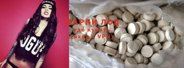 молекула духа Арсеньев