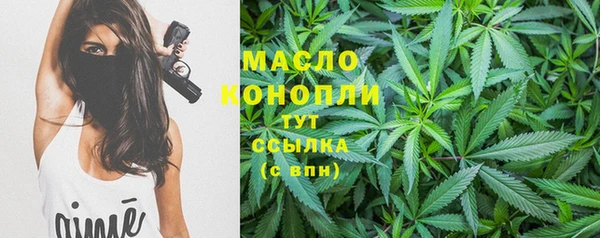 молекула духа Арсеньев