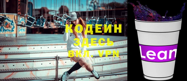 молекула духа Арсеньев