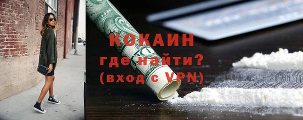 молекула духа Арсеньев
