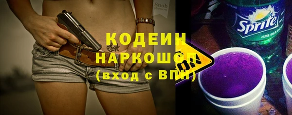молекула духа Арсеньев